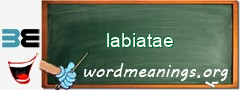 WordMeaning blackboard for labiatae